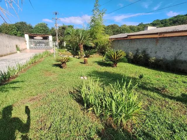 Sítio / Chácara para Venda em Colombo/PR Ribeirão das Onças 1 Quartos