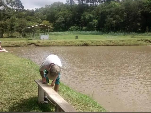Sítio / Chácara para Venda em Colombo/PR Roseira