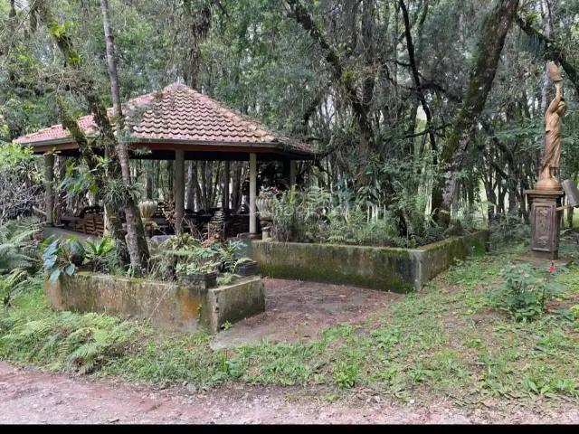 Sítio / Chácara para Venda em Colombo/PR Roseira