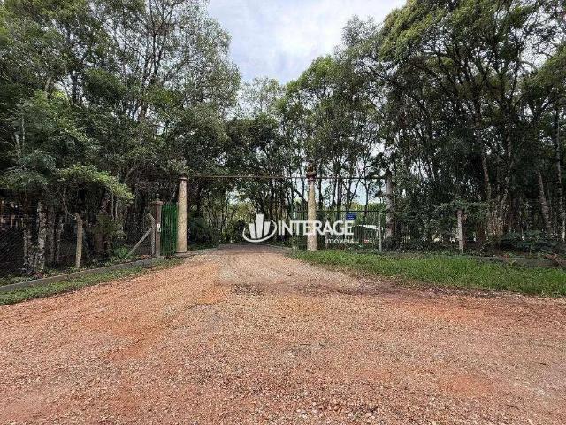 Sítio / Chácara para Venda em Colombo/PR Roseira