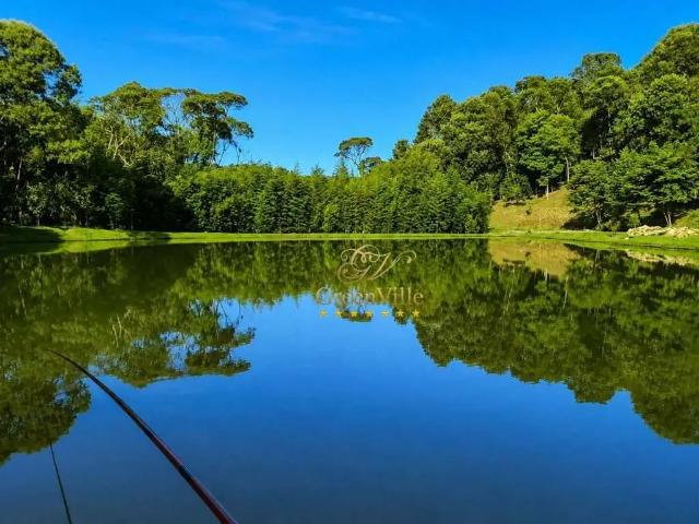 Sítio / Chácara para Venda em Colombo/PR São Gabriel 4 Quartos