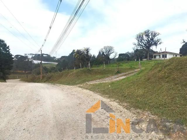 Sítio / Chácara para Venda em Colombo/PR Santa Gema 3 Quartos