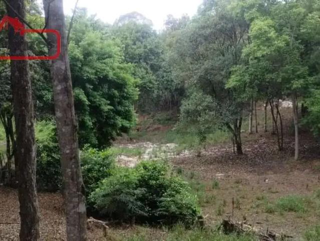 Sítio / Chácara para Venda em Colombo/PR Santa Gema 2 Quartos