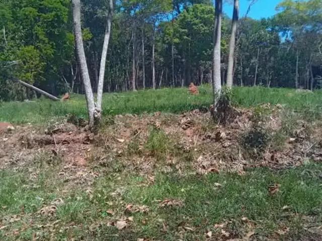 Sítio / Chácara para Venda em Conceição do Rio Verde/MG Centro 1 Quartos