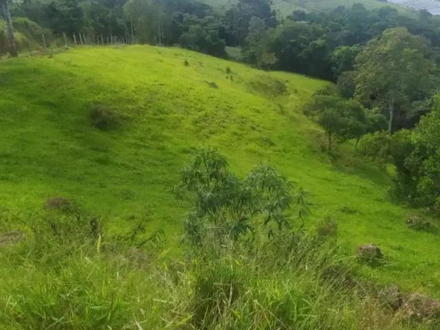 Sítio / Chácara para Venda em Conceição dos Ouros/MG Centro 3 Quartos