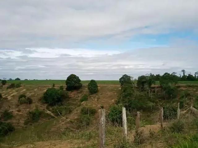 Sítio / Chácara para Venda em Conceição da Barra/ES Zona Rural 4 Quartos