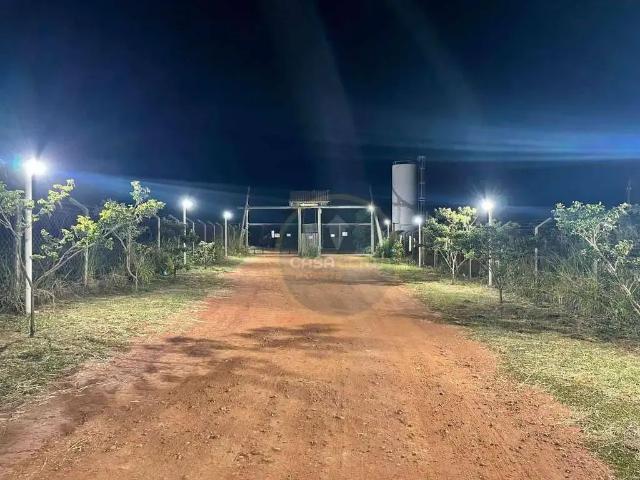 Sítio / Chácara para Venda em Conceição das Alagoas/MG Zona Rural