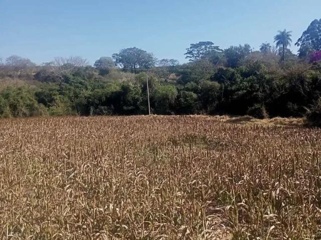 Sítio / Chácara para Venda em Conchal/SP Zona Rural 1 Quartos