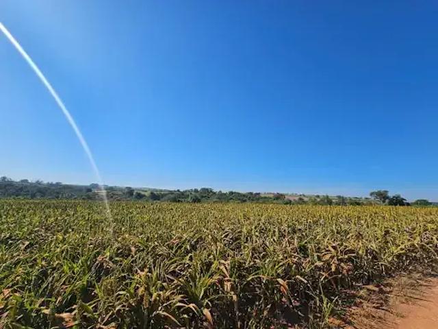 Sítio / Chácara para Venda em Conchal/SP Zona Rural