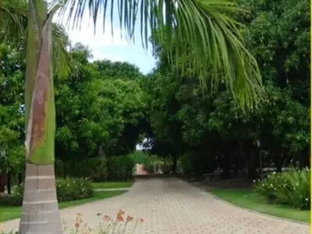 Sítio / Chácara para Venda em Conchal/SP Zona Rural 6 Quartos