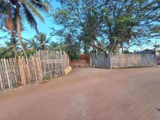 Sítio / Chácara para Venda em Conde/BA Barra do Itariri 4 Quartos