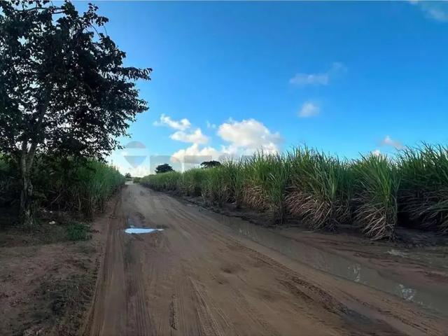 Sítio / Chácara para Venda em Conde/PB Jardim Recreio