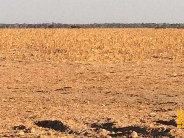Sítio / Chácara para Venda em Confresa/MT Zona Rural