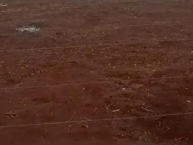 Sítio / Chácara para Venda em Conselheiro Lafaiete/MG Bandeirinhas