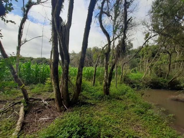 Sítio / Chácara para Venda em Contenda/PR Zona Rural 1 Quartos
