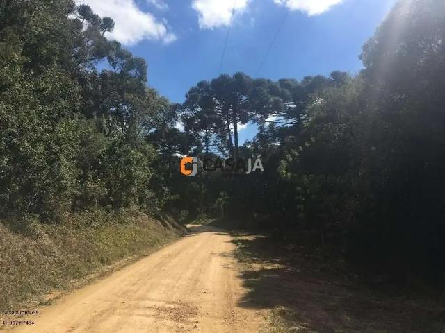 Sítio / Chácara para Venda em Contenda/PR Zona Rural 1 Quartos