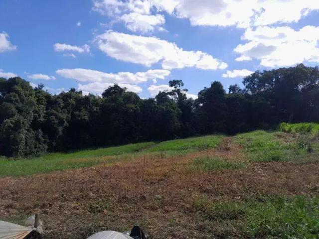Sítio / Chácara para Venda em Contenda/PR Zona Rural