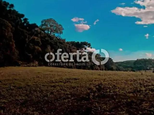 Sítio / Chácara para Venda em Contenda/PR Cardoso