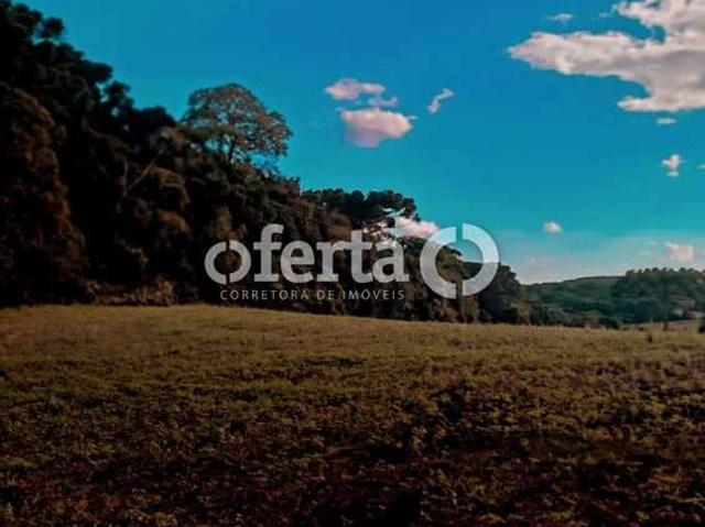 Sítio / Chácara para Venda em Contenda/PR Cardoso