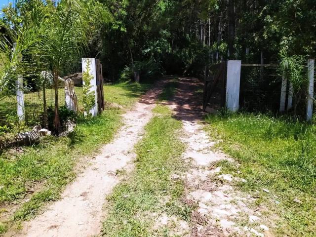 Sítio / Chácara para Venda em Contenda/PR Centro 3 Quartos