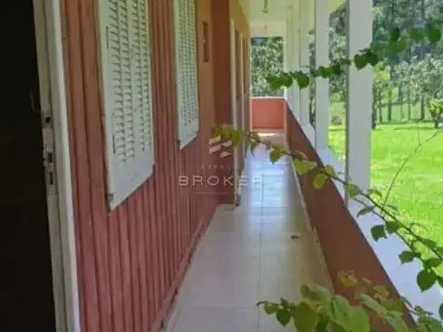 Sítio / Chácara para Venda em Contenda/PR Centro 6 Quartos