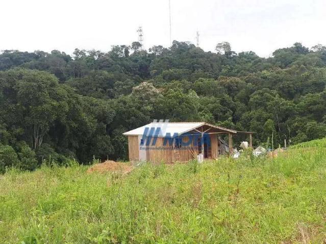 Sítio / Chácara para Venda em Contenda/PR Serrinha 2 Quartos