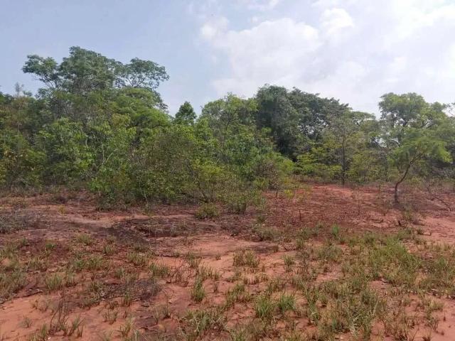 Sítio / Chácara para Venda em Corguinho/MS Zona Rural