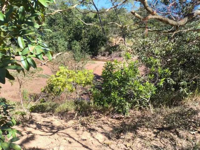 Sítio / Chácara para Venda em Cordisburgo/MG Zona Rural