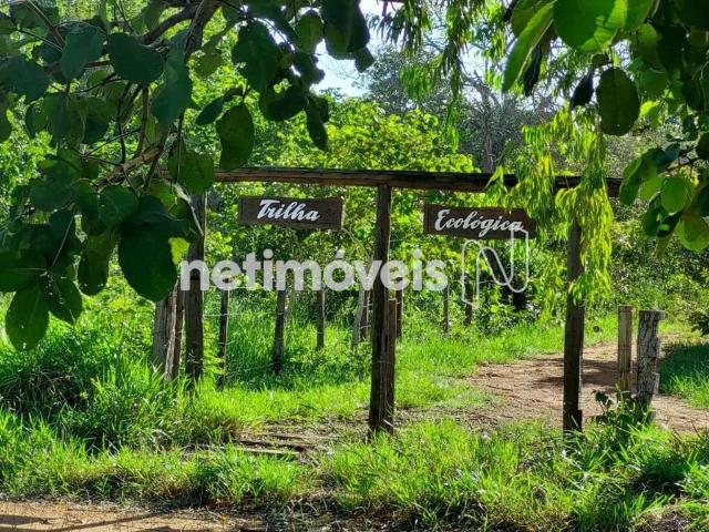Sítio / Chácara para Venda em Cordisburgo/MG Lagoa Bonita