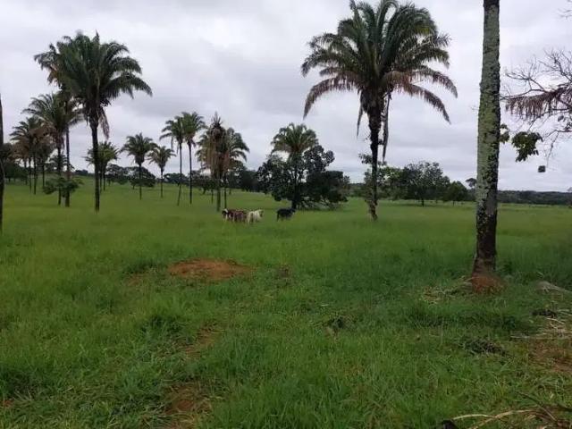 Sítio / Chácara para Venda em Coromandel/MG Área Rural de Coromandel 1 Quartos