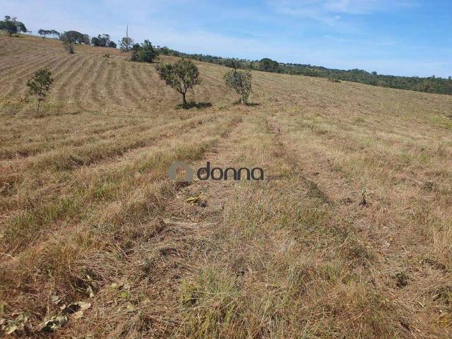Sítio / Chácara para Venda em Coromandel/MG Zona Rural