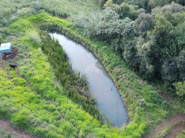Sítio / Chácara para Venda em Coronel Vivida/PR Zona Rural 3 Quartos