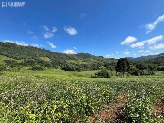 Sítio / Chácara para Venda em Coronel Domingos Soares/PR Zona Rural