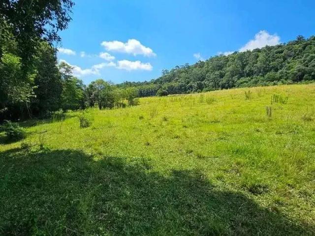 Sítio / Chácara para Venda em Coronel Freitas/SC Centro 4 Quartos