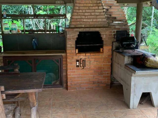 Sítio / Chácara para Venda em Coronel Pacheco/MG Centro 4 Quartos