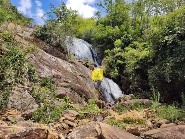 Sítio / Chácara para Venda em Coronel Pacheco/MG Fazenda Triqueda