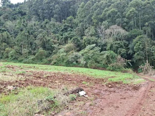 Sítio / Chácara para Venda em Coronel Pilar/RS Centro