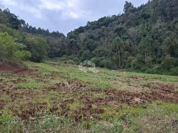 Sítio / Chácara para Venda em Coronel Pilar/RS Centro
