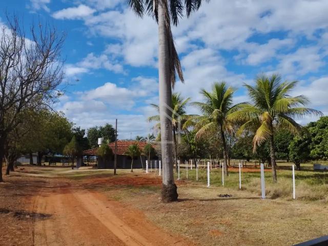Sítio / Chácara para Venda em Coroados/SP Cacimbinha 3 Quartos