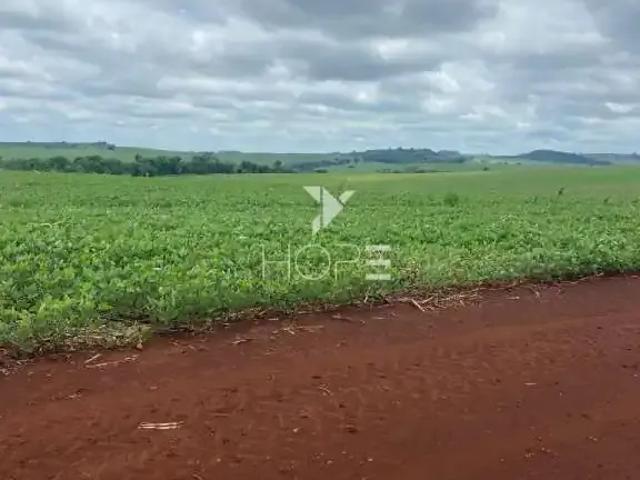 Sítio / Chácara para Venda em Cornélio Procópio/PR Zona Rural 1 Quartos