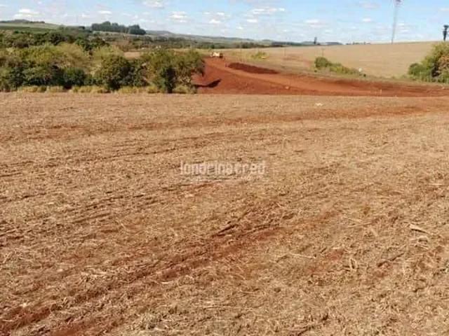 Sítio / Chácara para Venda em Cornélio Procópio/PR Centro