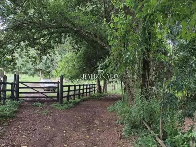 Sítio / Chácara para Venda em Córrego do Bom Jesus/MG Centro 2 Quartos
