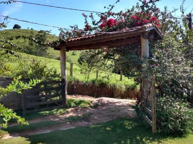 Sítio / Chácara para Venda em Córrego do Bom Jesus/MG Centro 7 Quartos