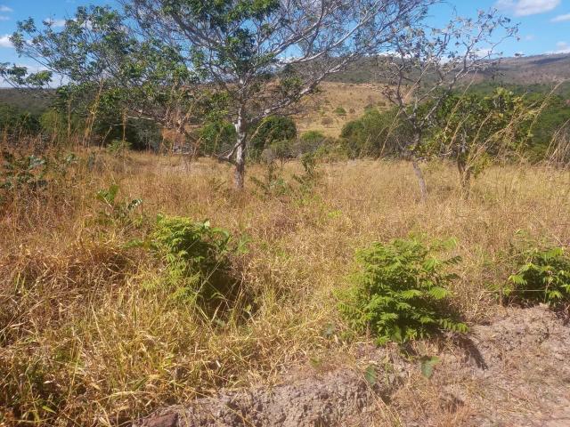 Sítio / Chácara para Venda em Corumbá de Goiás/GO Zona Rural 2 Quartos