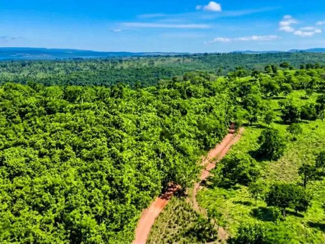 Sítio / Chácara para Venda em Corumbaíba/GO Setor Central