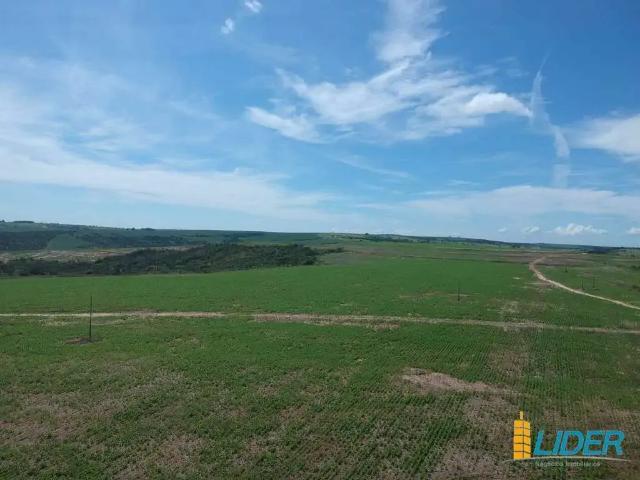 Sítio / Chácara para Venda em Corumbaíba/GO Zona Rural