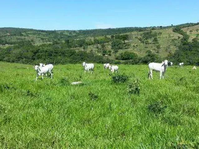 Sítio / Chácara para Venda em Corumbaíba/GO Zona Rural