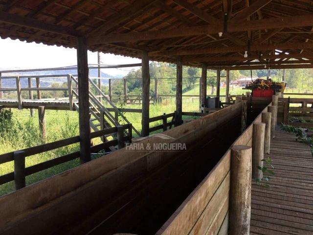 Sítio / Chácara para Venda em Corumbataí/SP Itapé 8 Quartos