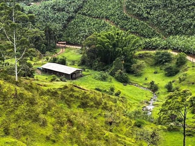 Sítio / Chácara para Venda em Corupá/SC Pedra de Amolar