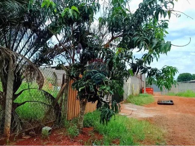 Sítio / Chácara para Venda em Cosmópolis/SP Área Rural de Cosmópolis